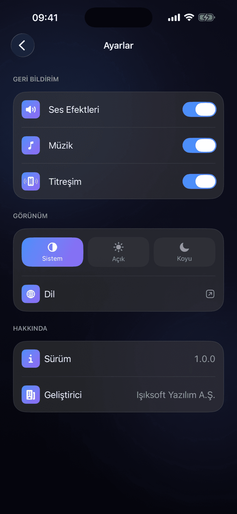 BlockForge ayarlar ekranı: tema, dil ve erişilebilirlik seçenekleri